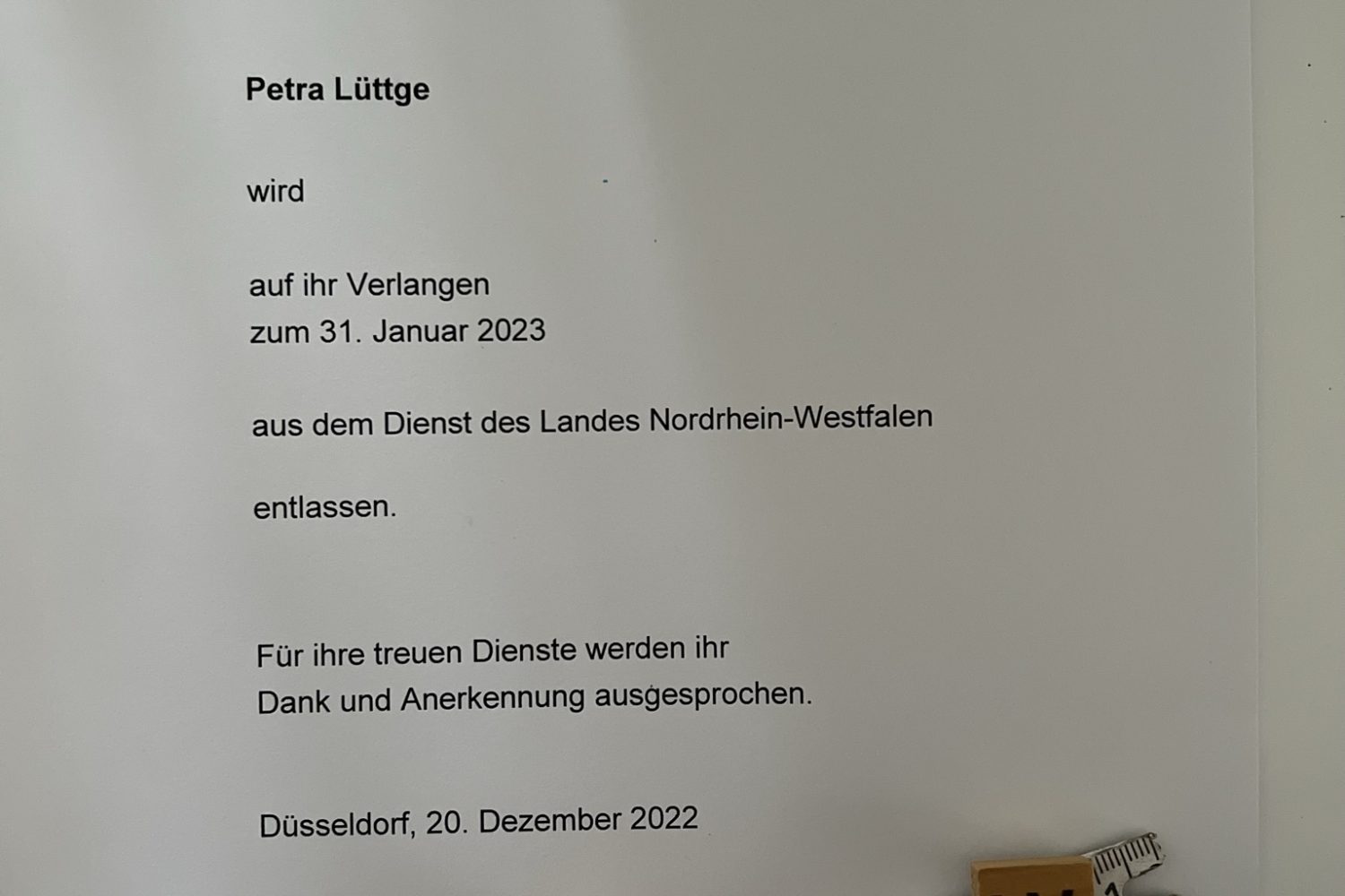 Blogartikel Lebenslauf